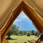 Fundacio L'olivar 4*