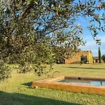 Couette-café Fundacio L'olivar