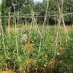 Fundacio L'olivar Ventalló