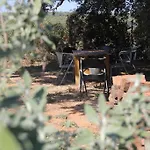 Couette-café Fundacio L'olivar