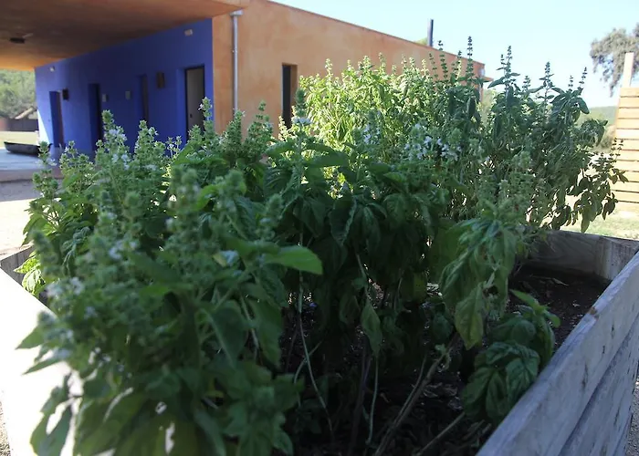 Bed & Breakfast Fundacio L'olivar