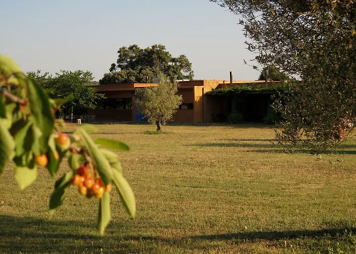 Fundacio L'olivar Ventalló