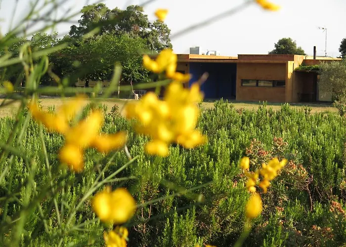 Bed & Breakfast Fundacio L'olivar 4*