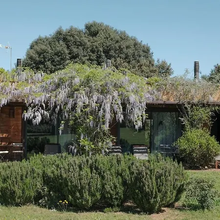 Fundacio L'olivar Ventallo