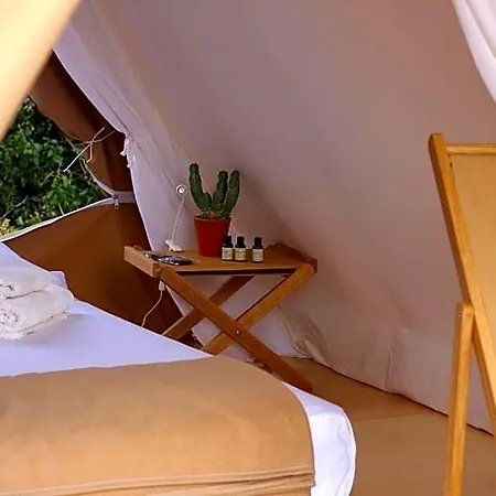 Fundacio L'olivar 4*