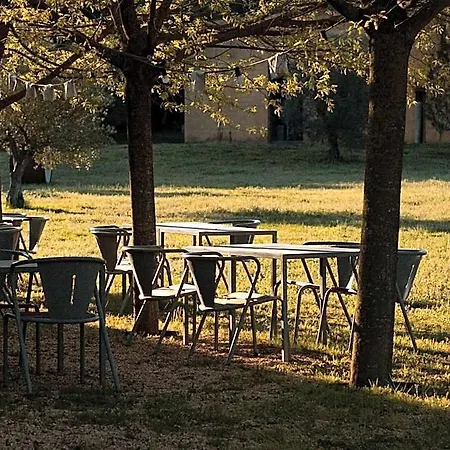 Fundacio L'olivar Bed & Breakfast