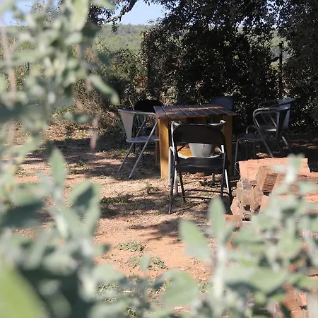 Bed & Breakfast Fundacio L'olivar