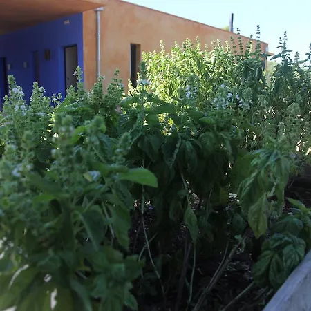 Bed & Breakfast Fundacio L'olivar