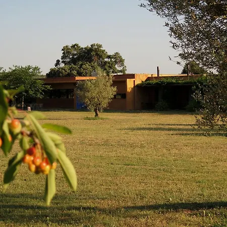 Fundacio L'olivar Ventallo