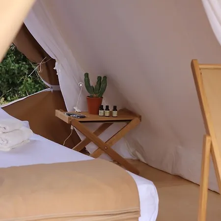 Fundacio L'olivar Bed & Breakfast *