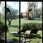 Fundacio L'olivar