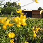 Bed & Breakfast Fundacio L'olivar 4*