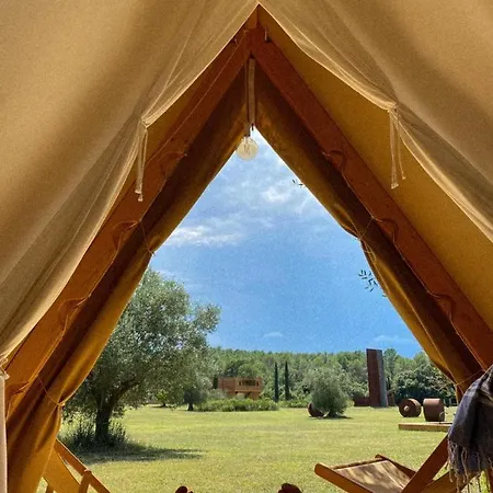 Fundacio L'olivar 4*