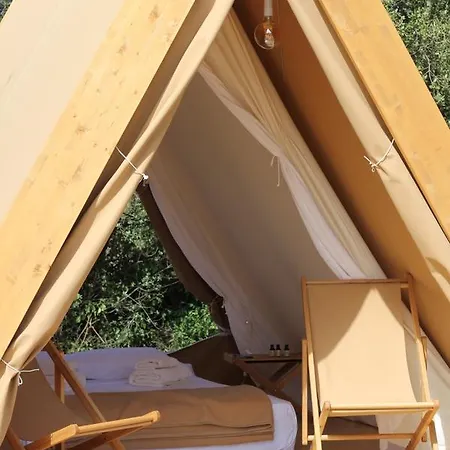 Fundacio L'olivar 4*