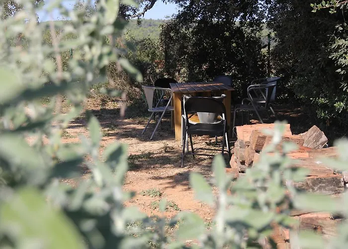 ベッド・アンド・ブレックファスト Fundacio L'olivar